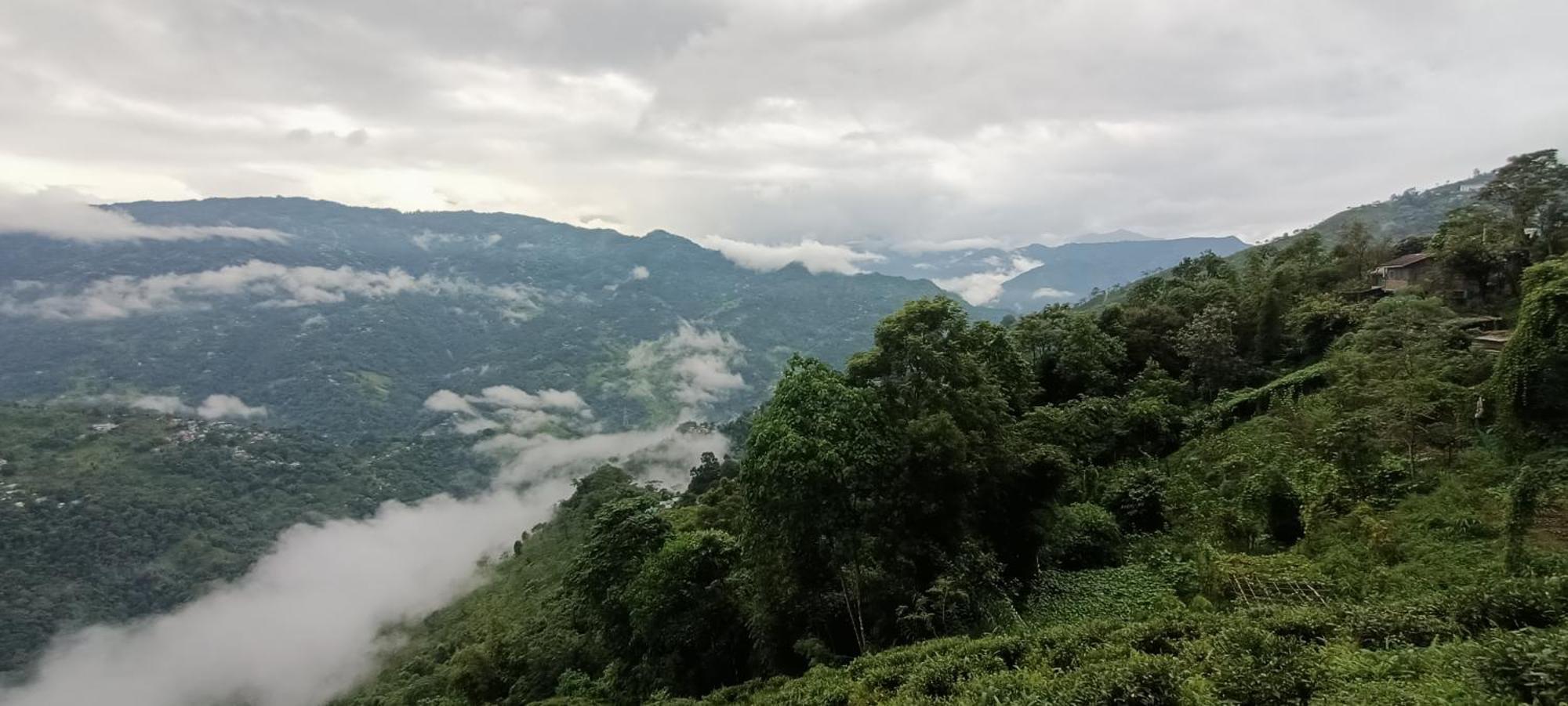 Tharbaling HomeStay Darjeeling  Luaran gambar